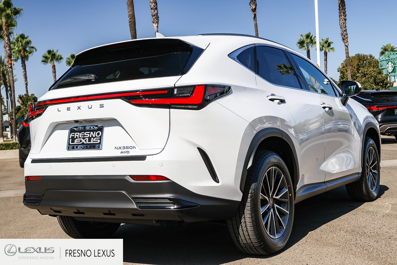 2026 Lexus NX 350h Premium AWD photo 6