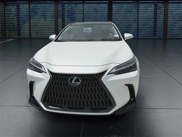 2025 Lexus NX 350h Luxury AWD photo 3