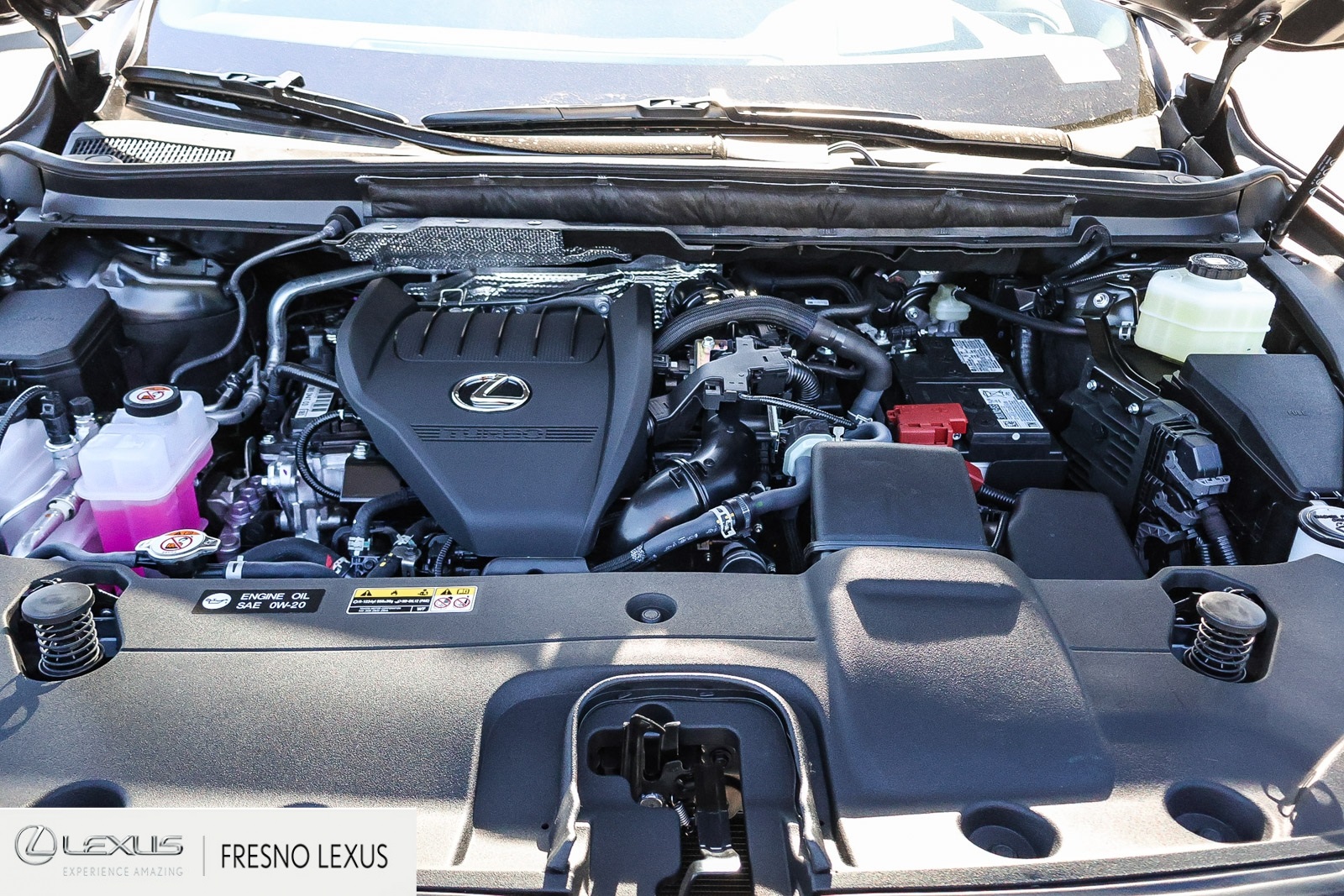 2025 Lexus RX 350 Premium AWD photo 12