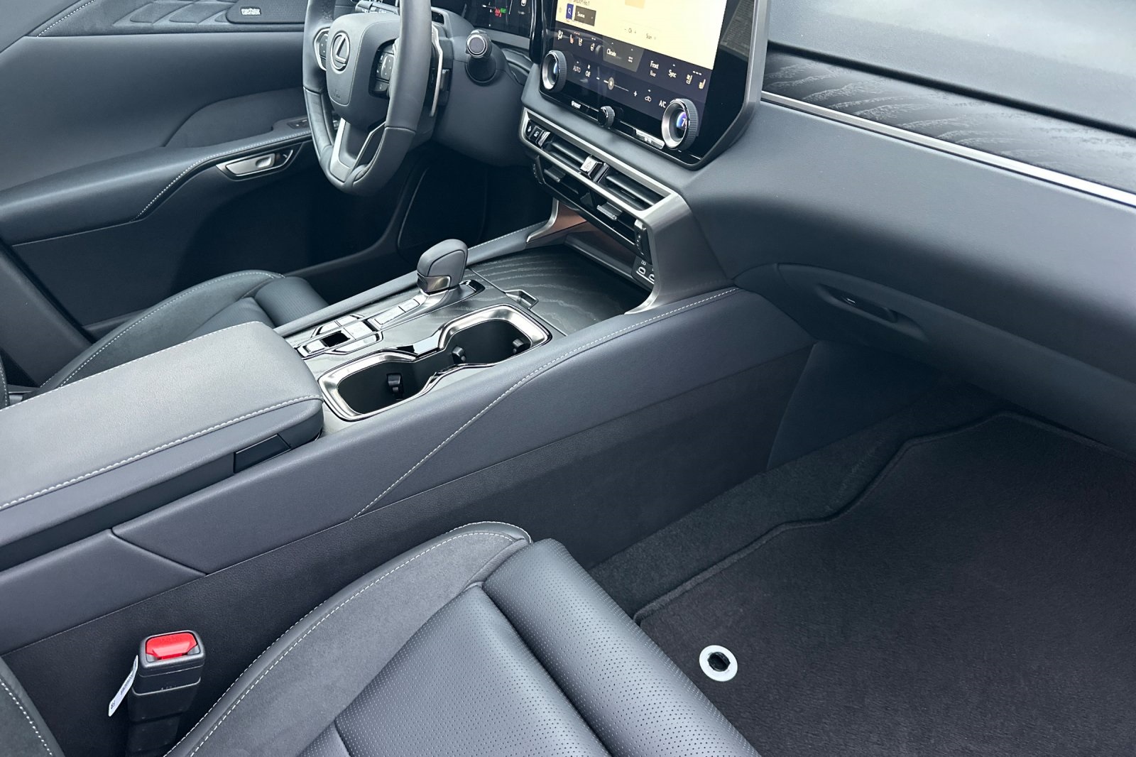 2025 Lexus RX 350h Luxury AWD photo 13