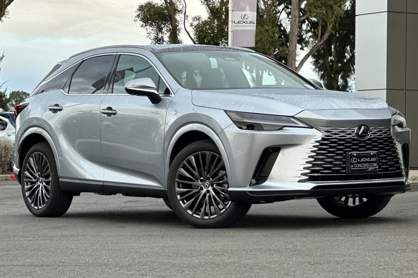 2025 Lexus RX 350h Luxury AWD photo 2
