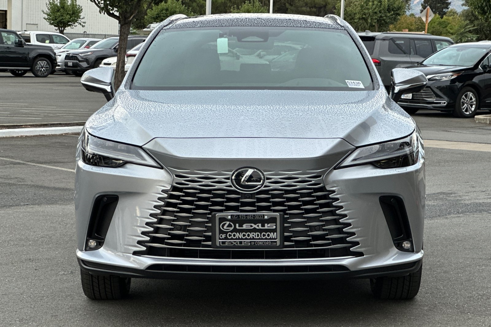 2025 Lexus RX 350h Luxury AWD photo 6