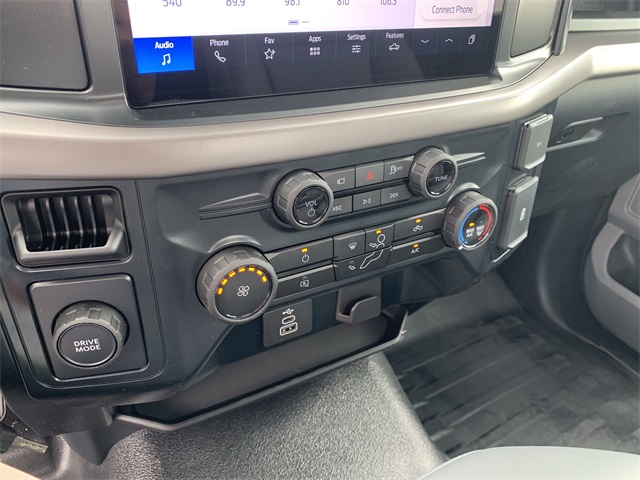2025 Carbonized Gray Metallic Ford F-150 XL RWD Truck