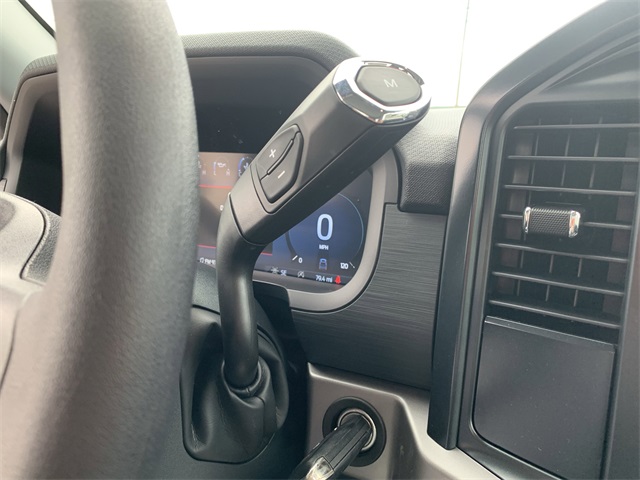 2025 Carbonized Gray Metallic Ford F-150 XL RWD Truck