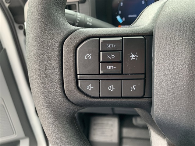 2025 Carbonized Gray Metallic Ford F-150 XL RWD Truck