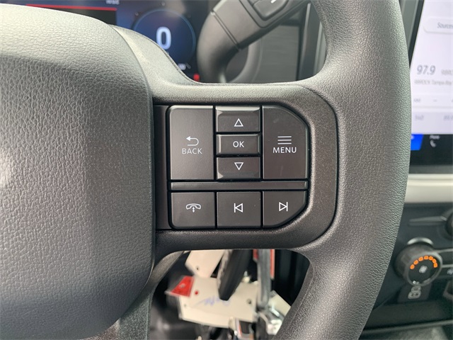 2025 Carbonized Gray Metallic Ford F-150 XL RWD Truck
