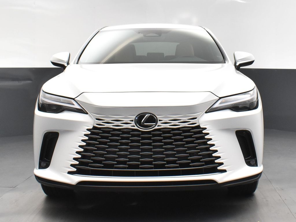2025 Lexus RX 350 photo 10