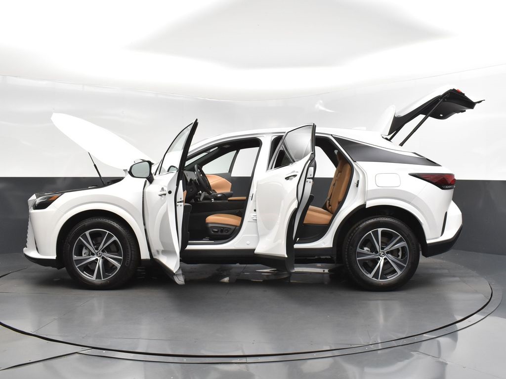 2025 Lexus RX 350 photo 44