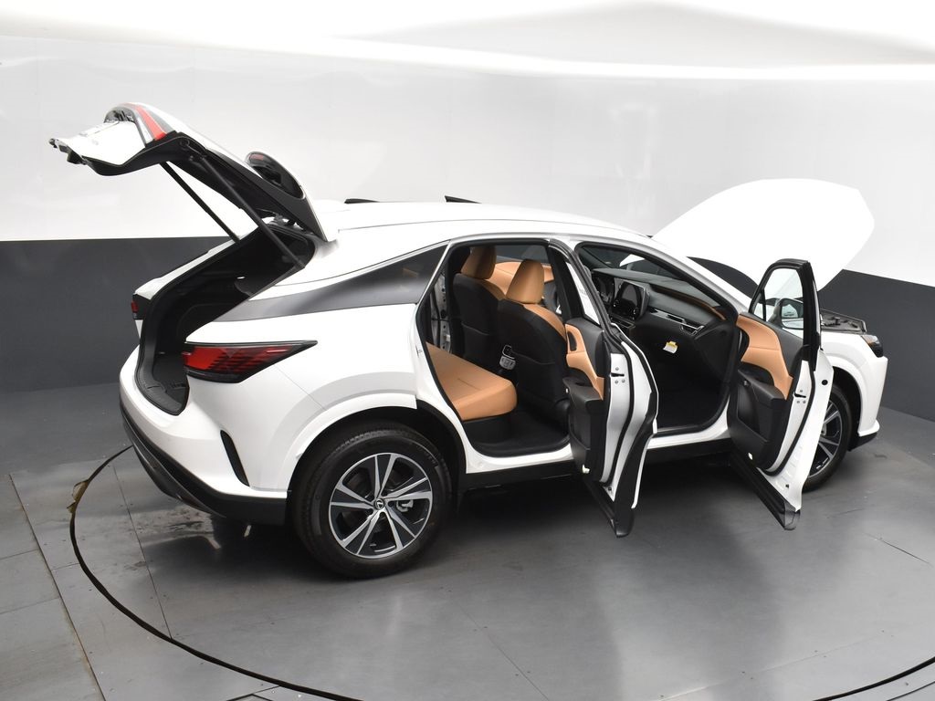 2025 Lexus RX 350 photo 46