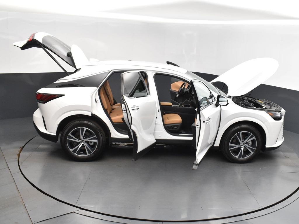 2025 Lexus RX 350 photo 47