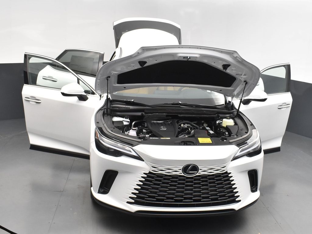 2025 Lexus RX 350 photo 49