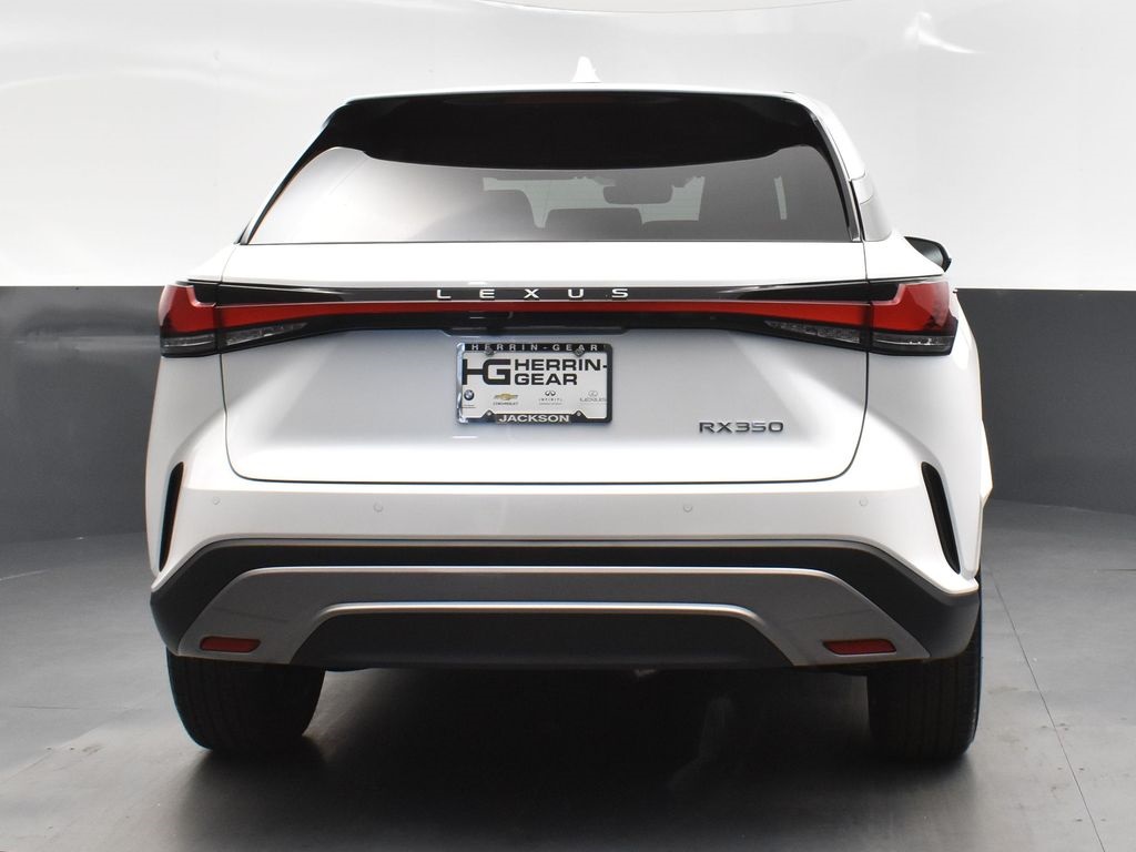 2025 Lexus RX 350 photo 6