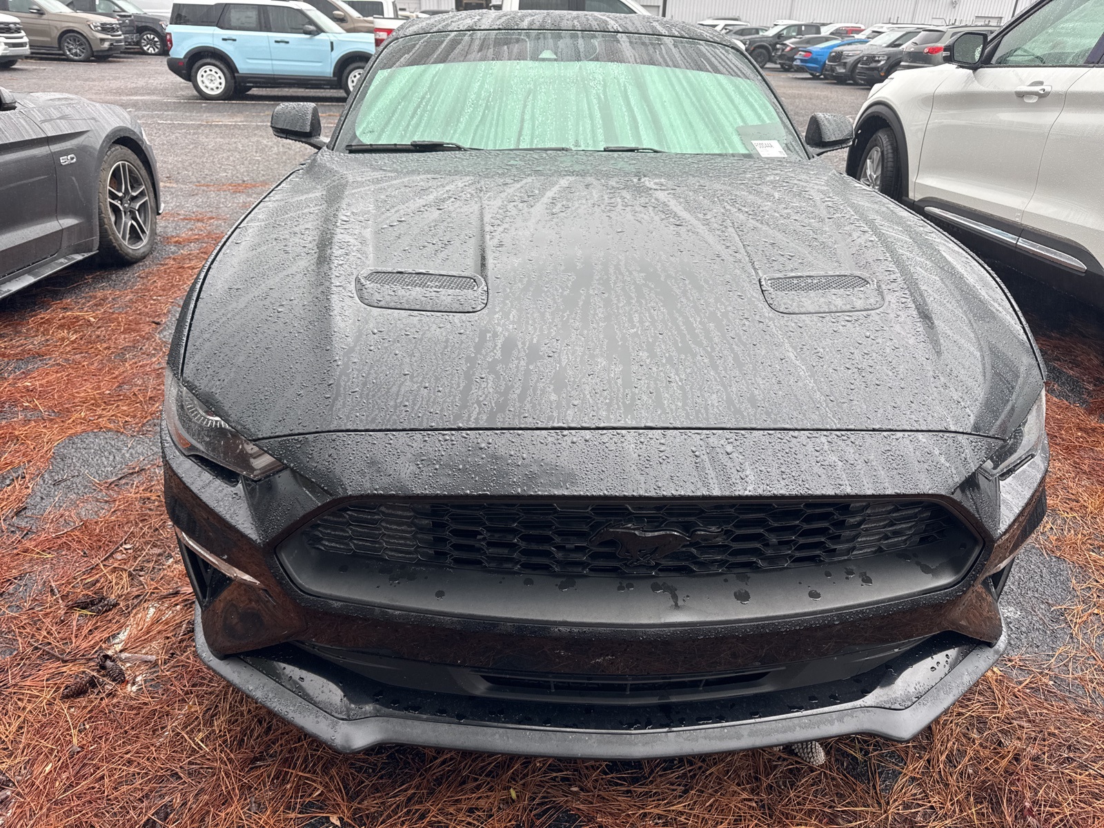 2018 Ford Mustang EcoBoost Premium's photo