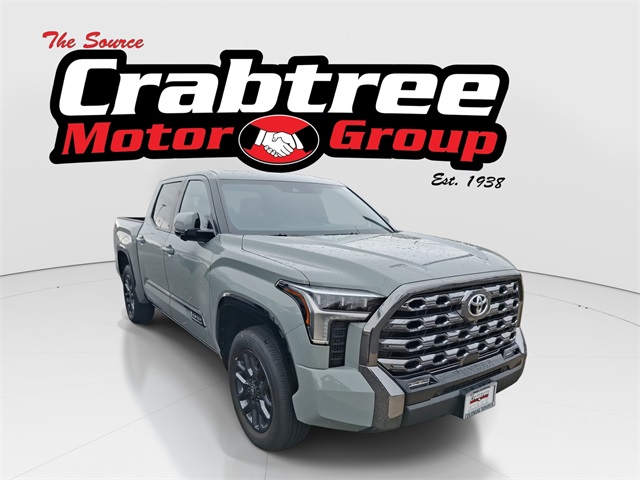2025 Toyota Tundra Platinum's photo