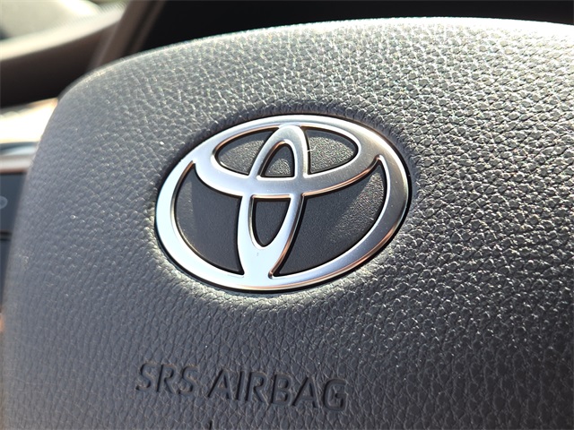 2025 Toyota Highlander Hybrid MAX Platinum photo 20