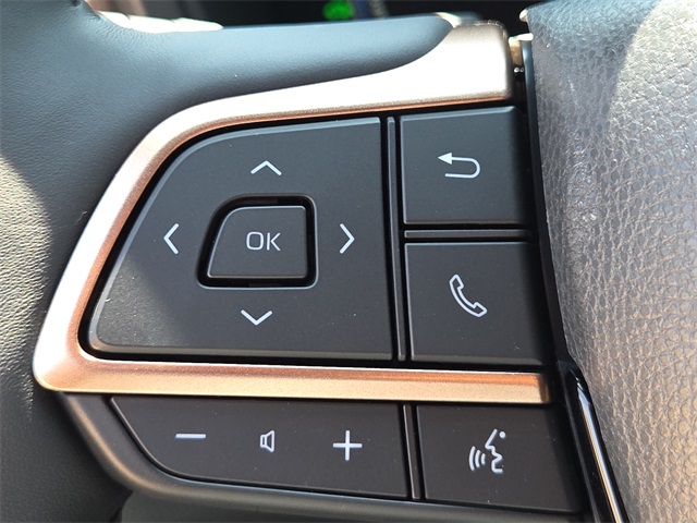 2025 Toyota Highlander Hybrid MAX Platinum photo 22