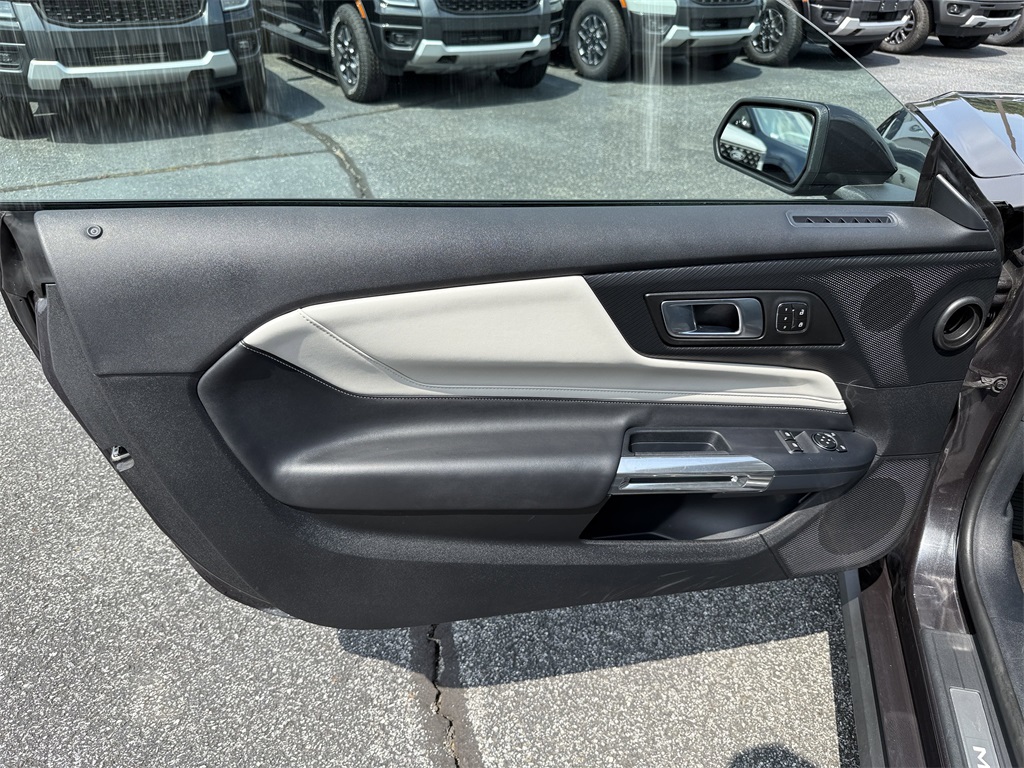 Image-10