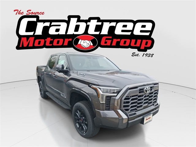 2025 Toyota Tundra Platinum's photo