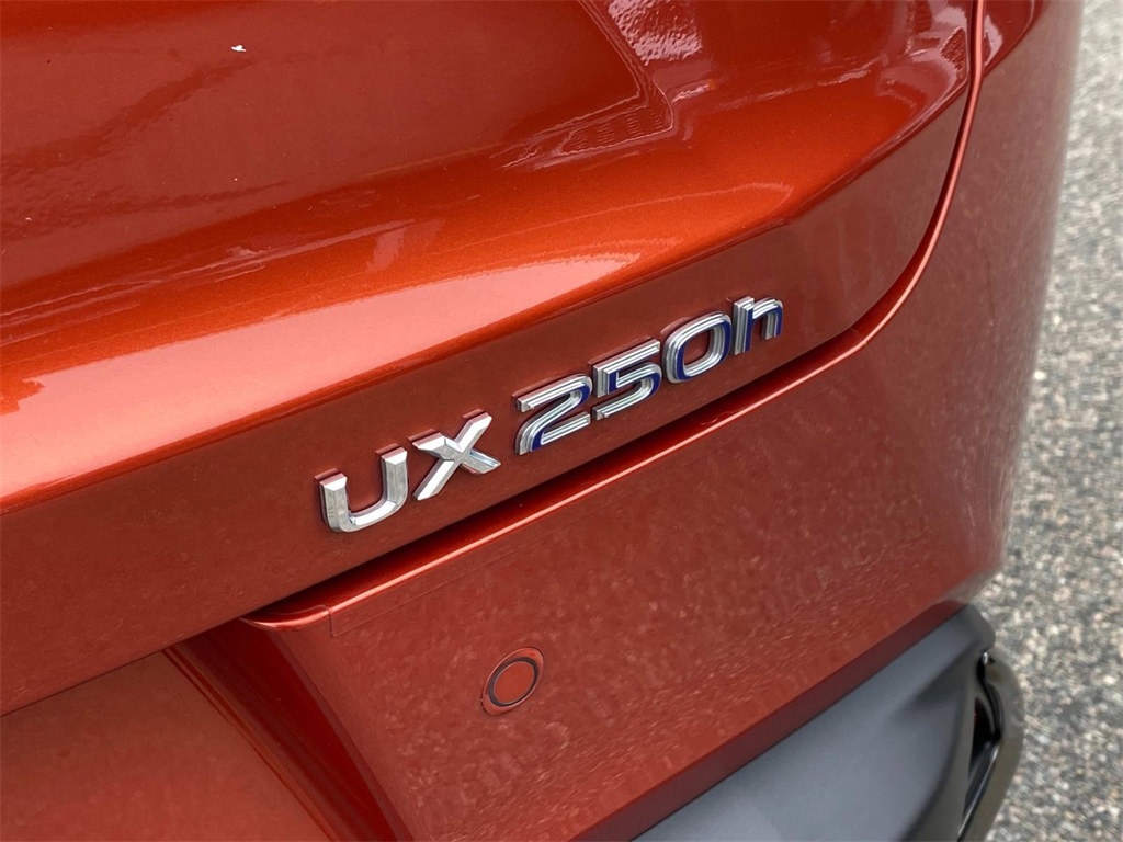2019 Lexus UX 250h photo 11