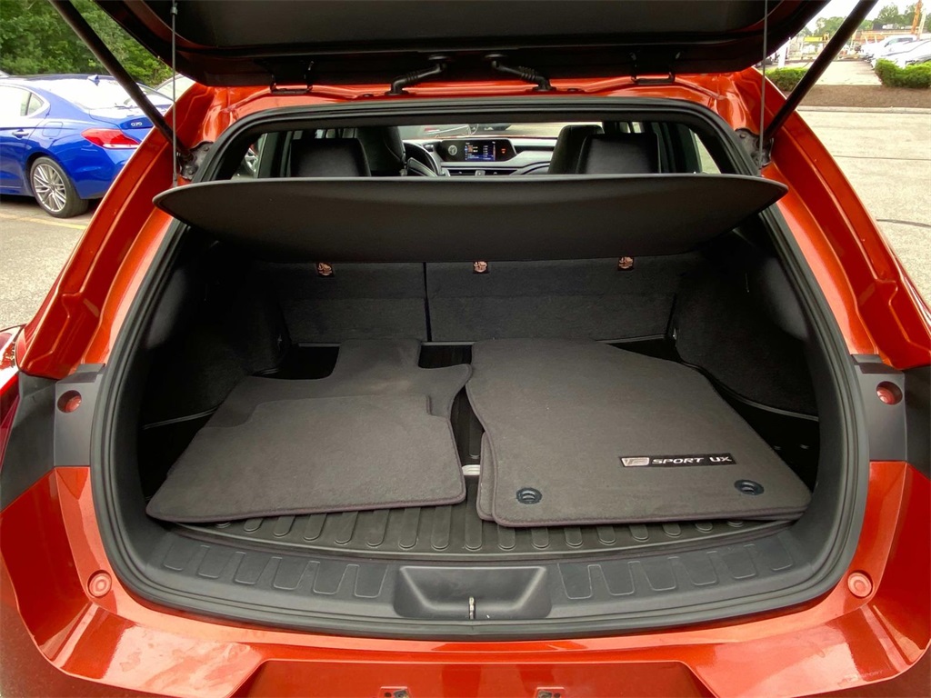 2019 Lexus UX 250h photo 13