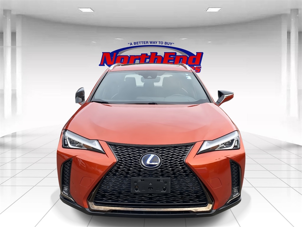 2019 Lexus UX 250h photo 2