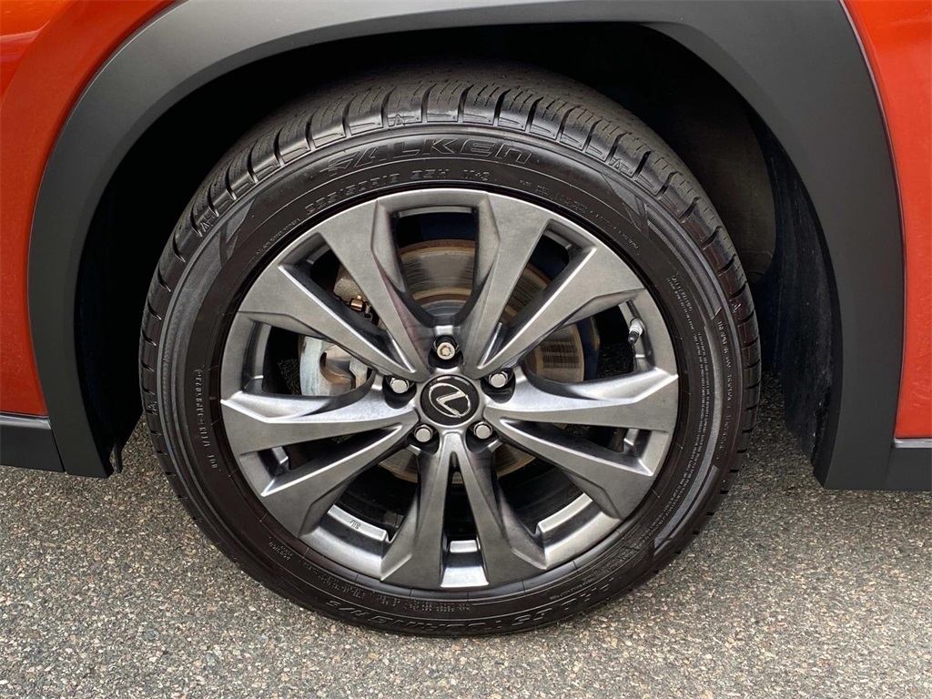 2019 Lexus UX 250h photo 27