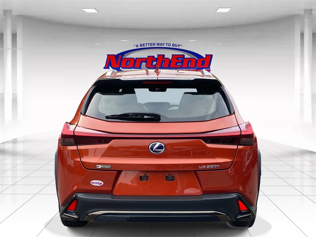 2019 Lexus UX 250h photo 6