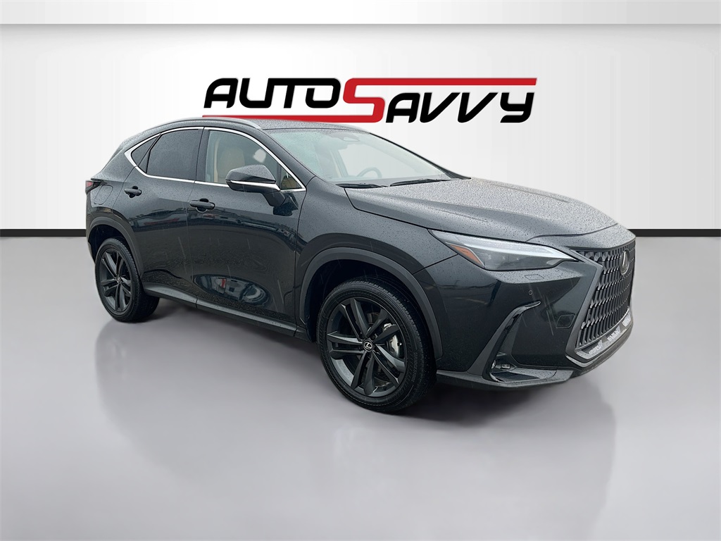 2024 Lexus NX PHEV 450h+'s photo
