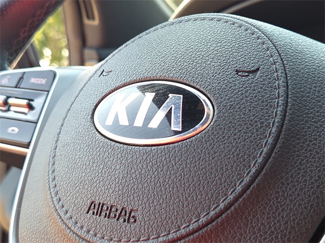 2019 Kia Sorento SX Limited photo 21