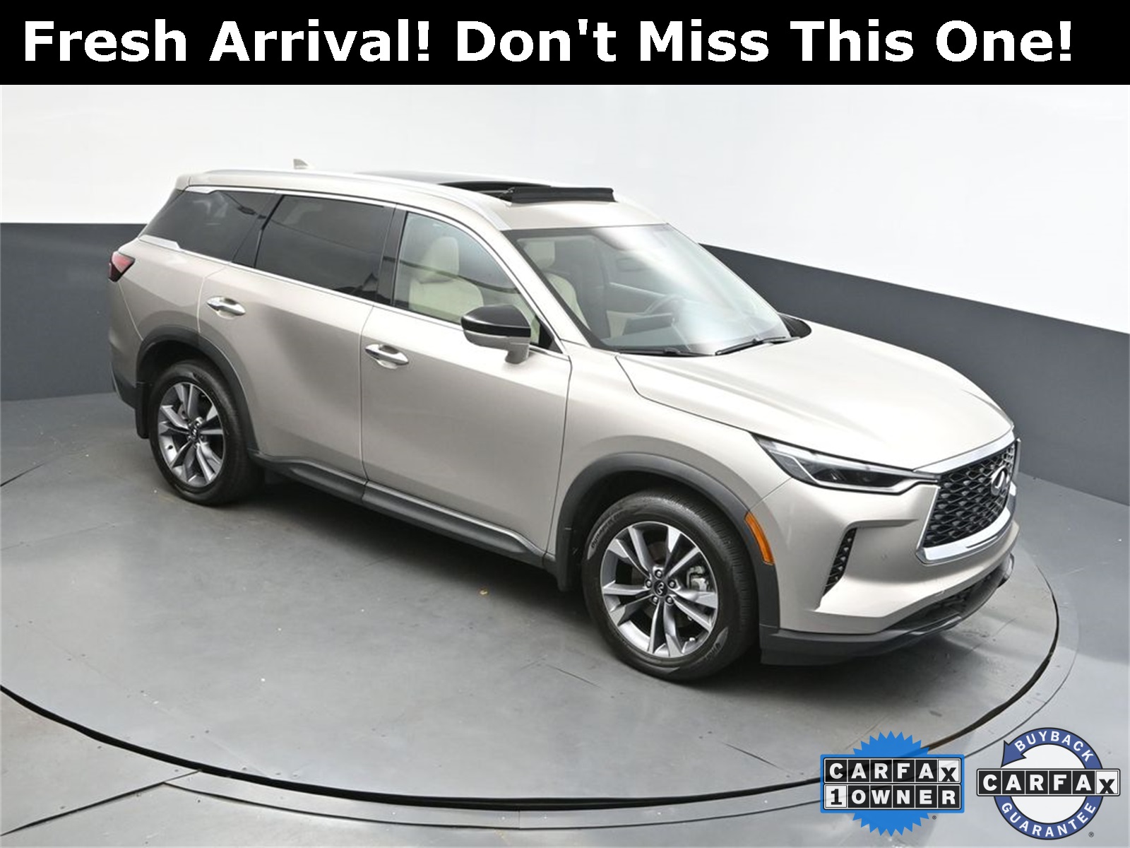 2024 Titanium INFINITI QX60 LUXE AWD SUV