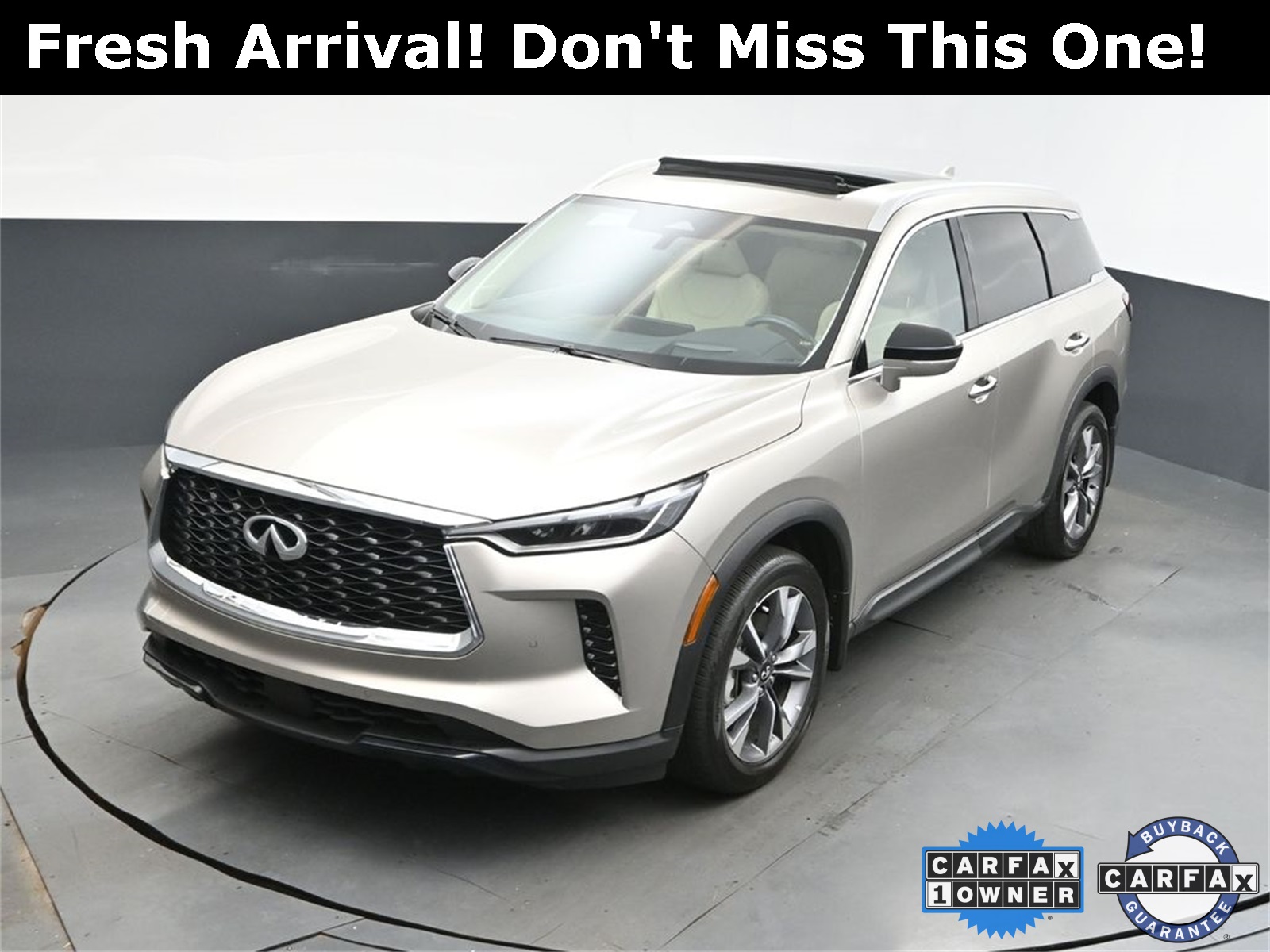 2024 Titanium INFINITI QX60 LUXE AWD SUV