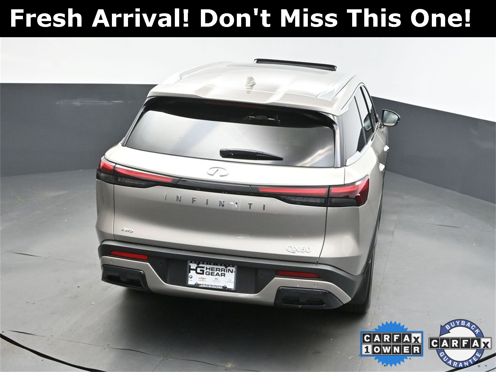 2024 Titanium INFINITI QX60 LUXE AWD SUV