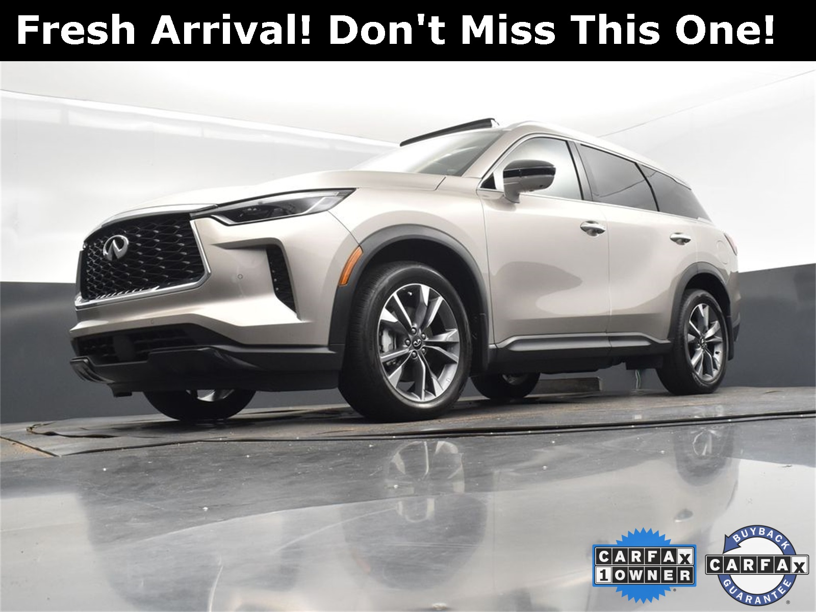 2024 Titanium INFINITI QX60 LUXE AWD SUV