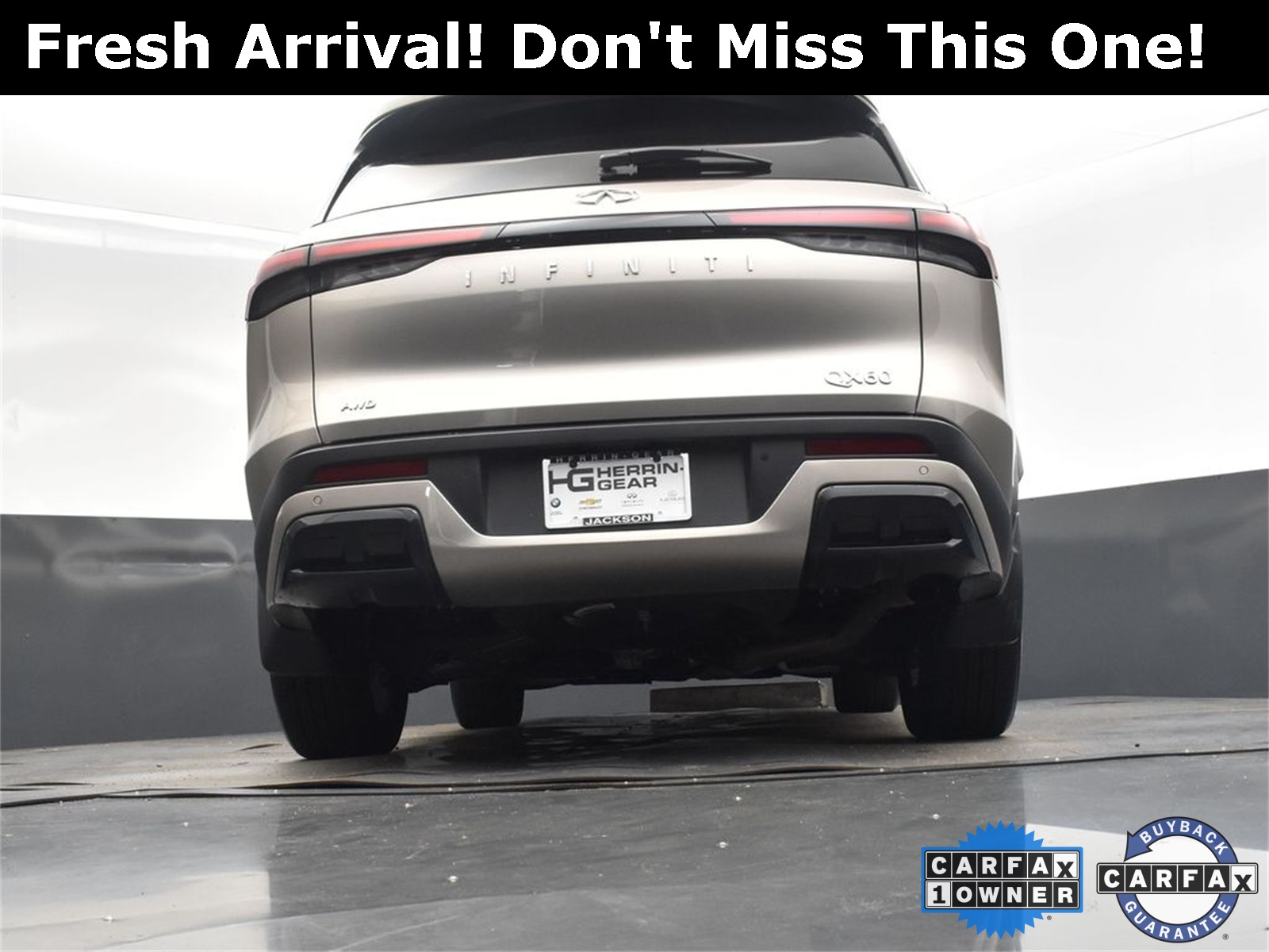 2024 Titanium INFINITI QX60 LUXE AWD SUV