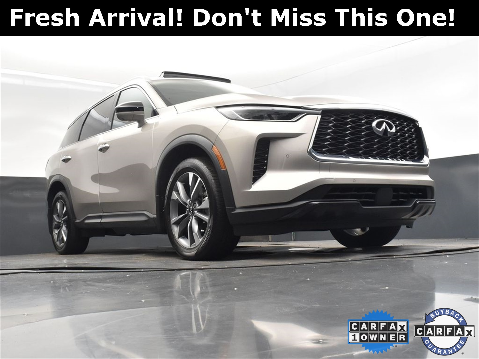 2024 Titanium INFINITI QX60 LUXE AWD SUV