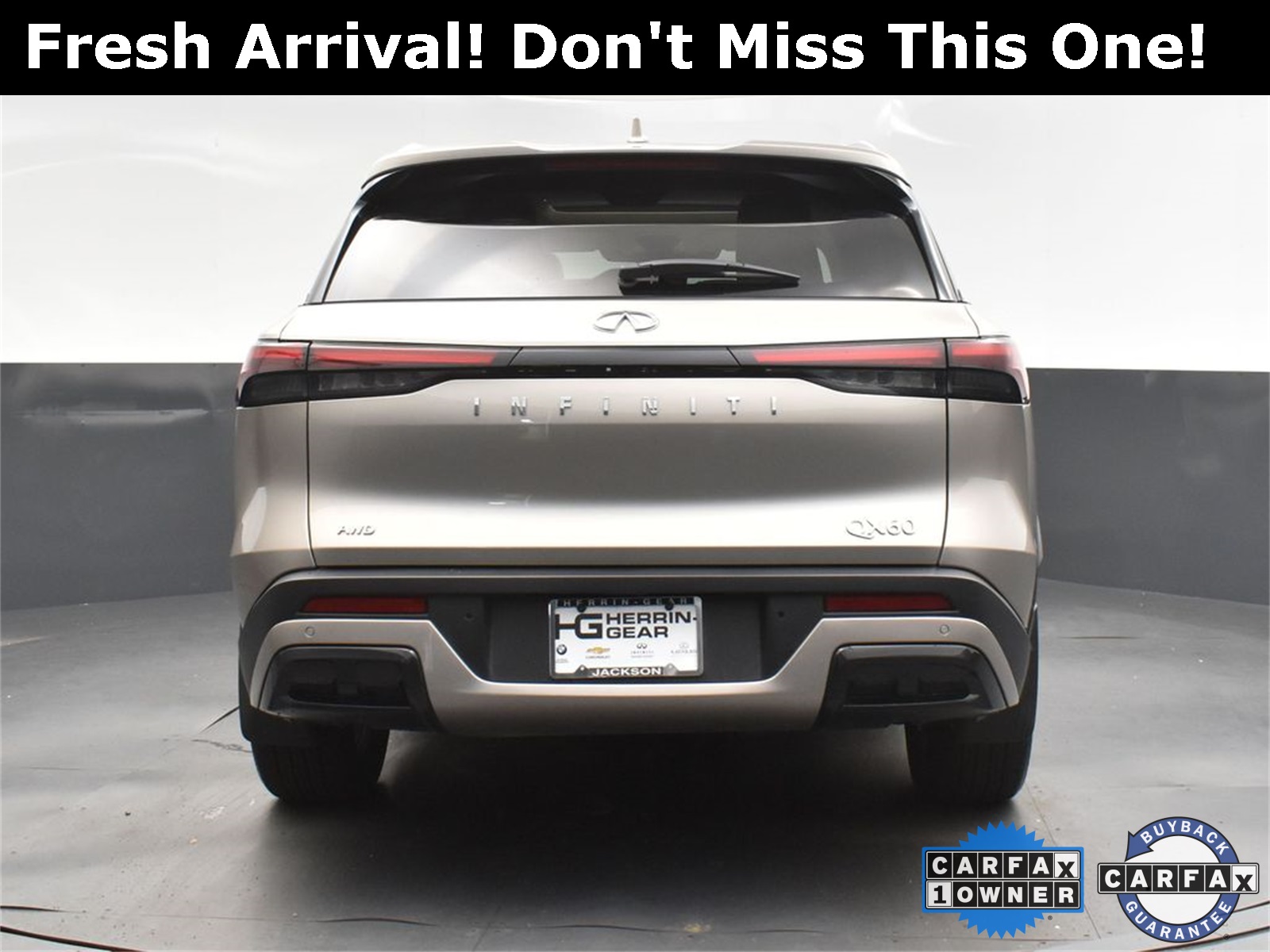 2024 Titanium INFINITI QX60 LUXE AWD SUV