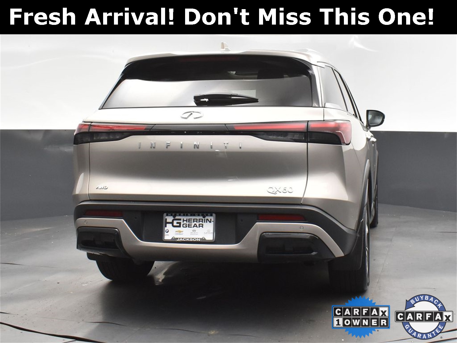 2024 Titanium INFINITI QX60 LUXE AWD SUV