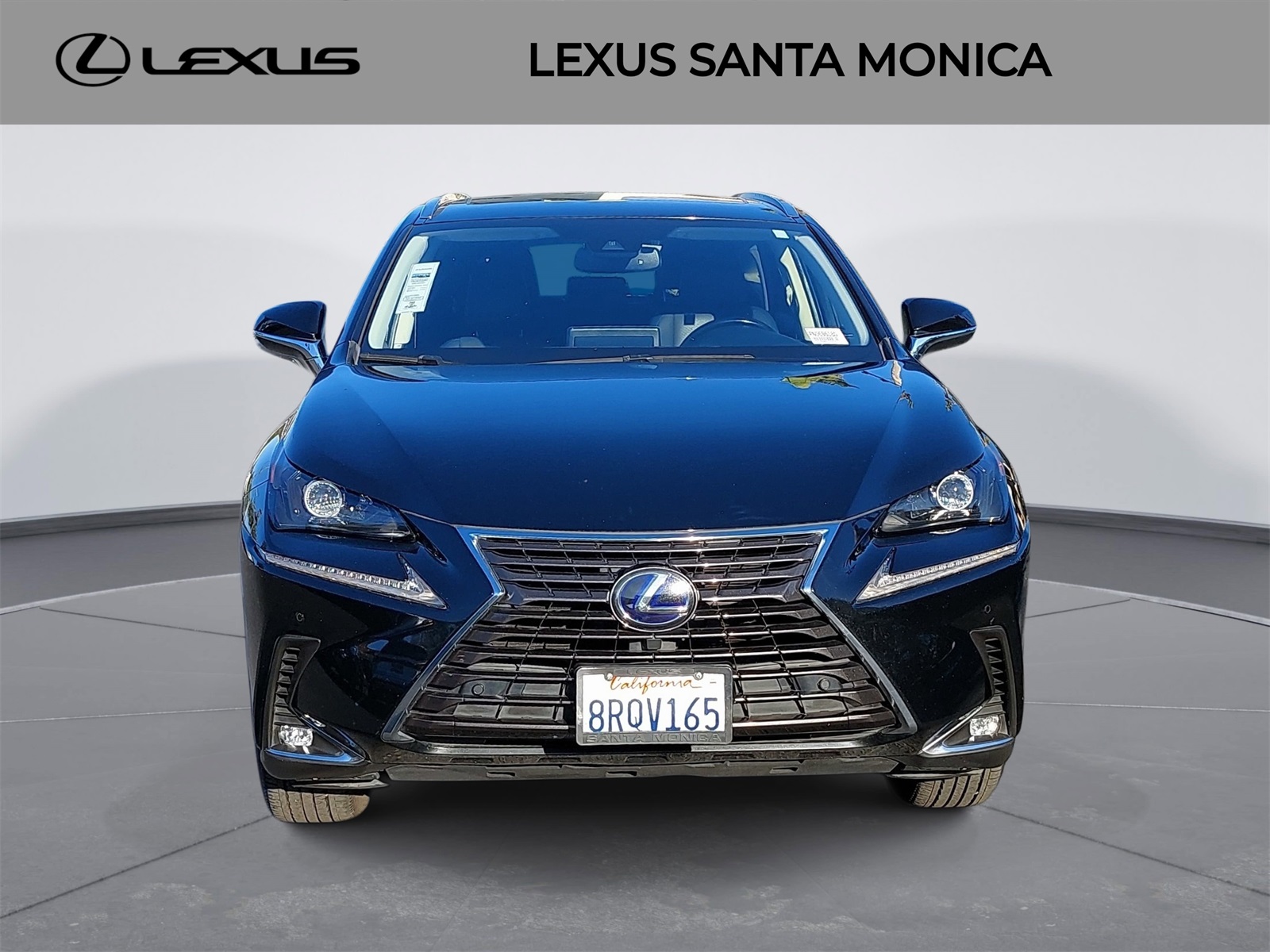 2020 Lexus NX Hybrid 300h's photo