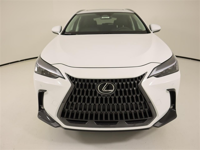 2026 Lexus NX 350 photo 7