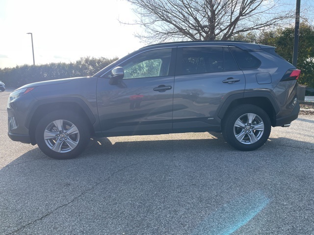 Used 2025 Toyota RAV4 XLE with VIN 4T3RWRFV6SU180175 for sale in Kansas City