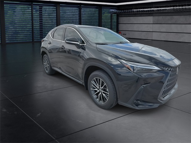 2025 Lexus NX 350 Luxury AWD photo 2