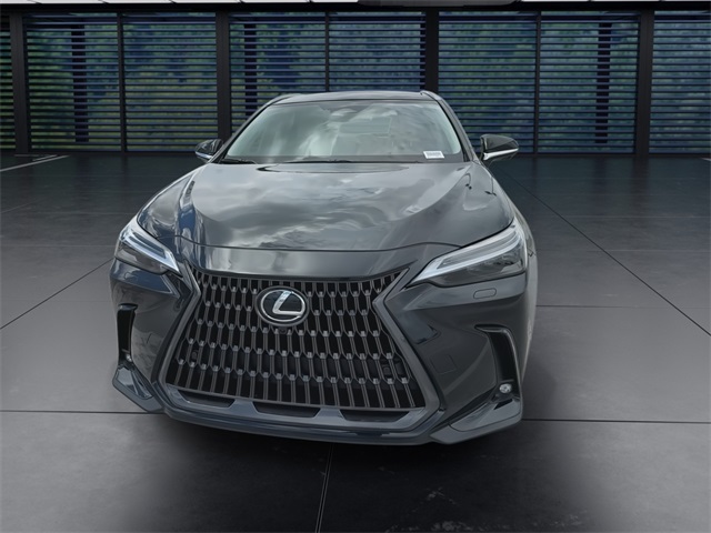 2025 Lexus NX 350 Luxury AWD photo 3