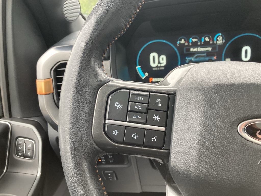 2023 Ford F-150 Tremor photo 14