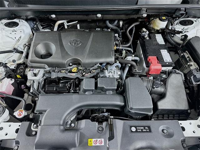 RAV4 XLE