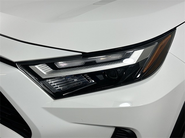 RAV4 XLE