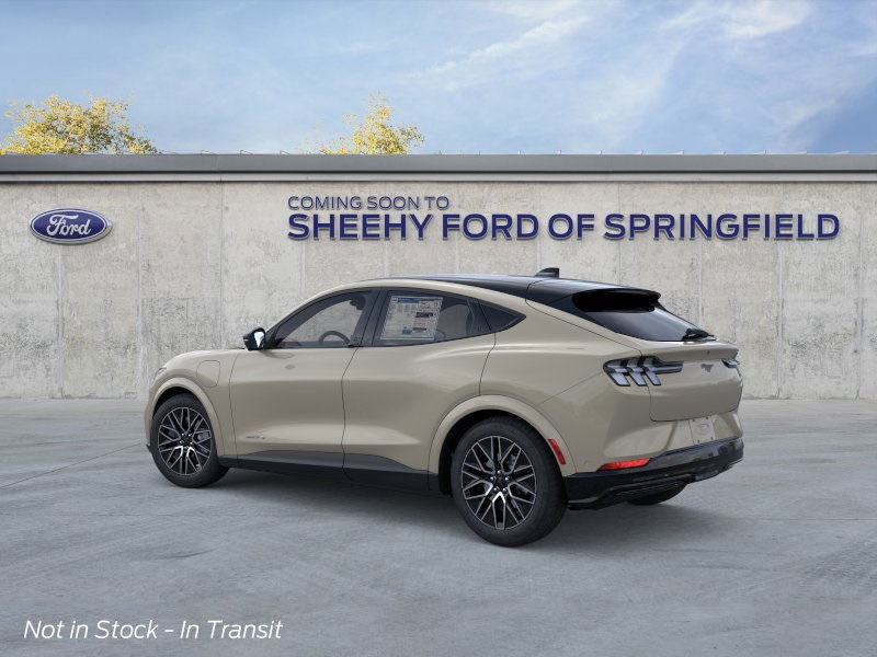 2025 Ford Mustang Mach-E Premium photo 3