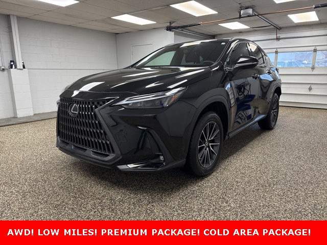 2022 Lexus NX 350's photo