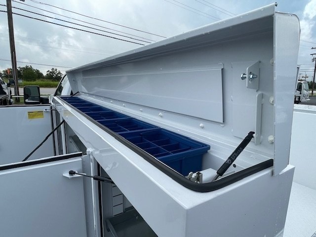 New 2024 White Chevrolet Work Truck image 6