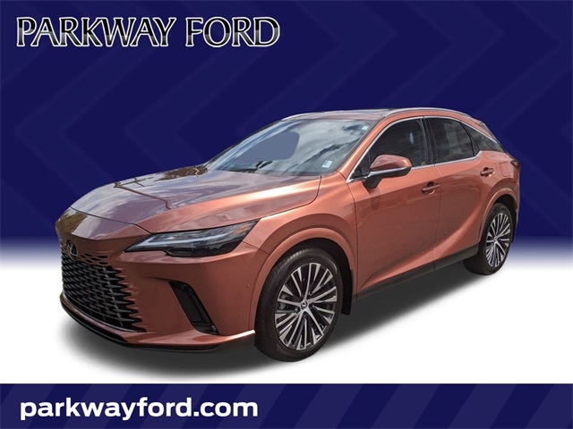 2023 Lexus RX 350's photo