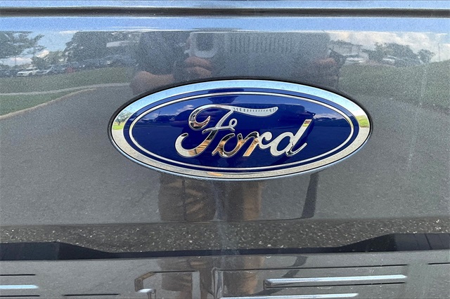 2020 Gray Ford F-150 XLT 4X4 Truck